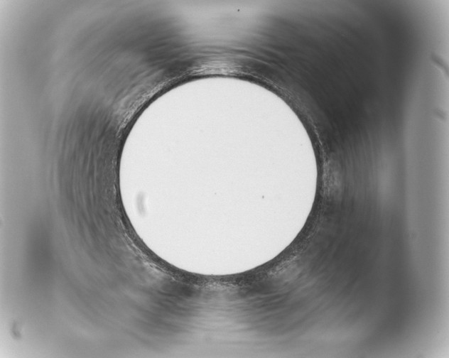 X0000103910529200810031215