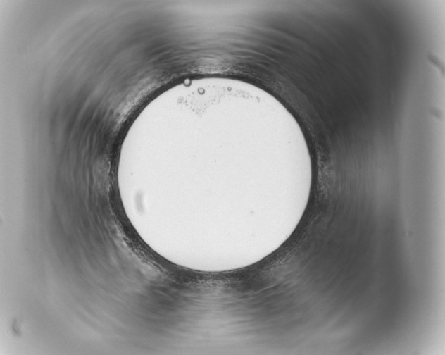 X0000103910530200810031215