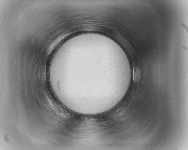 X0000103910531200810031215