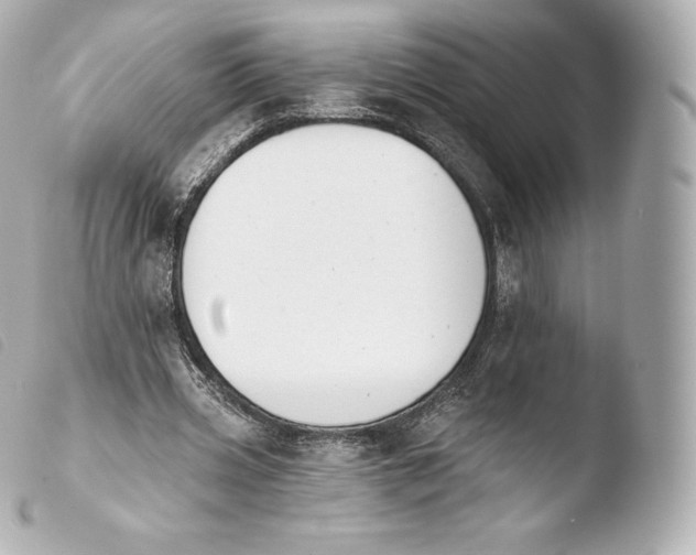X0000103910533200810031215