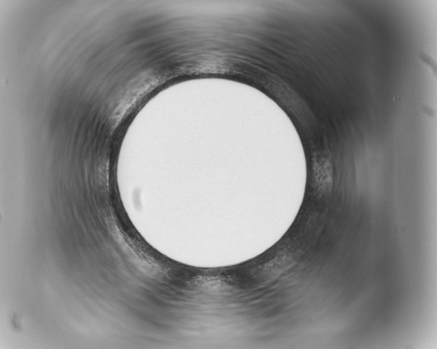 X0000103910534200810031215