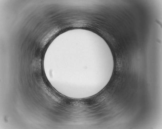 X0000103910535200810031215