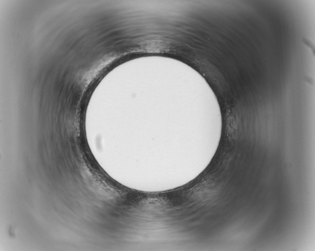 X0000103910536200810031215