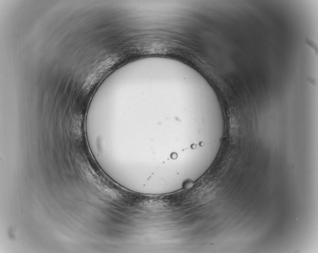 X0000103910537200810031215