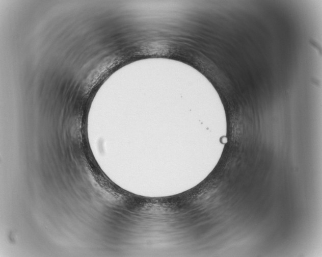 X0000103910538200810031215