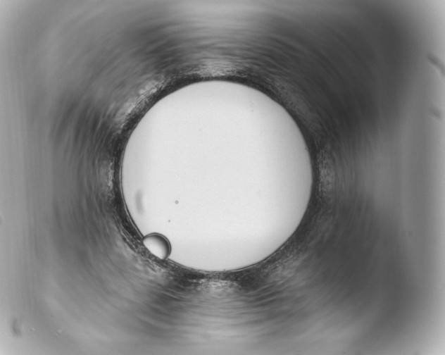 X0000103910539200810031215