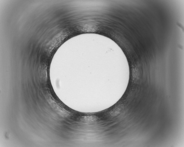 X0000103910541200810031215