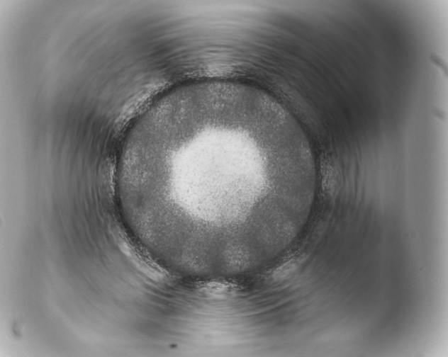 X0000103910542200810031215