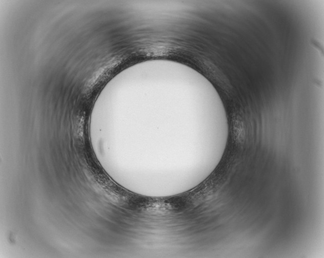 X0000103910543200810031215