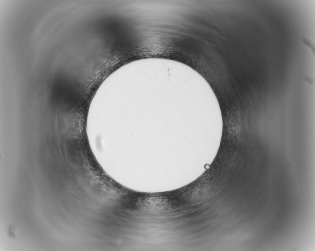 X0000103910546200810031215