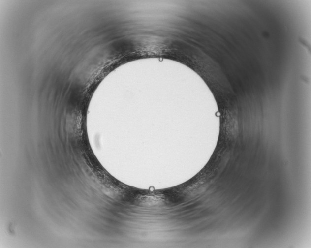 X0000103910548200810031215