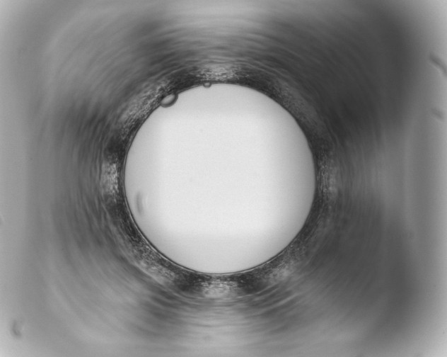 X0000103910549200810031215