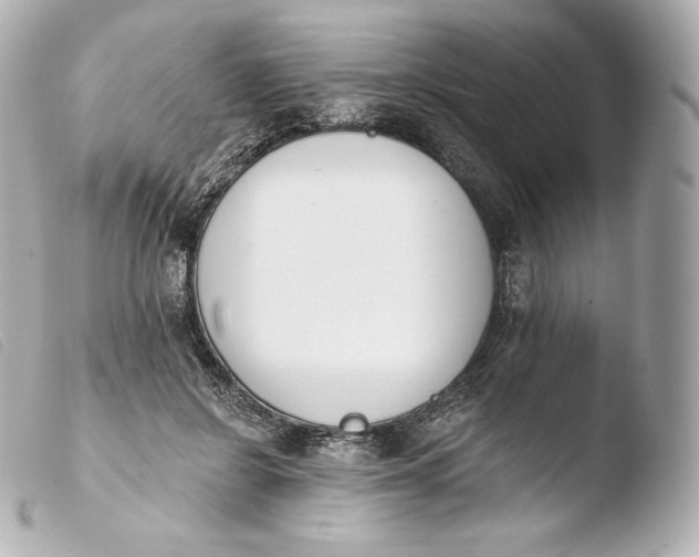 X0000103910550200810031215