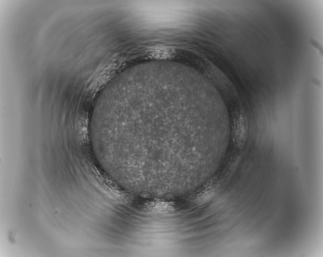 X0000103910553200810031215