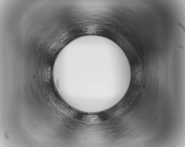 X0000103910554200810031215