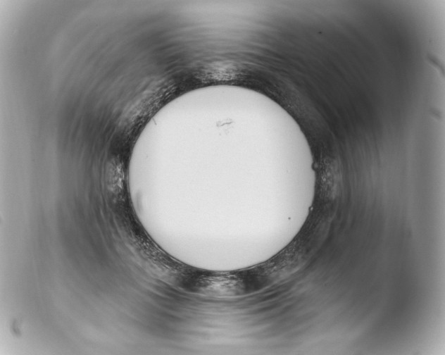 X0000103910555200810031215