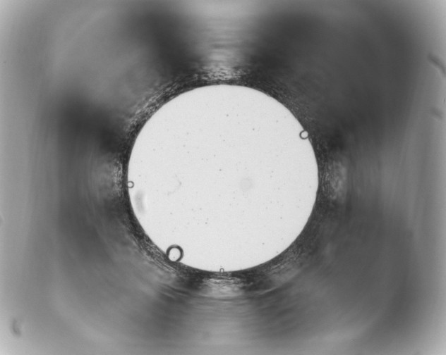 X0000103910556200810031215