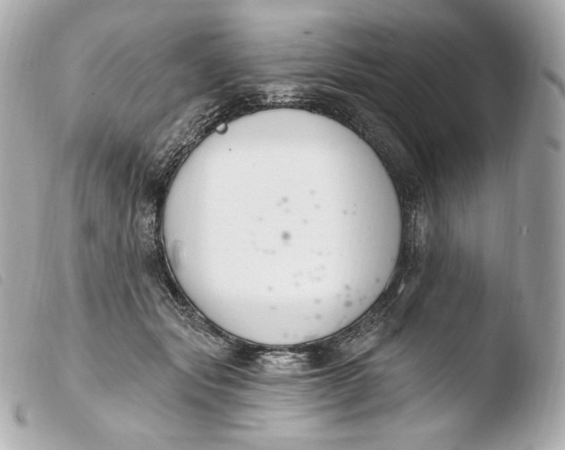 X0000103910557200810031215