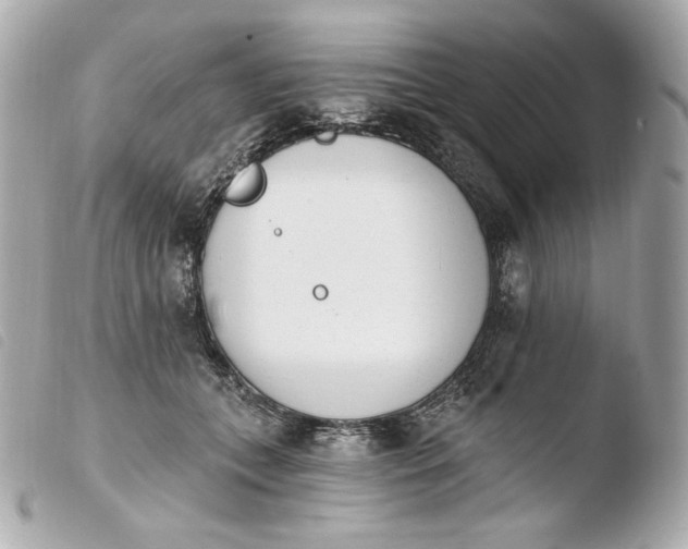 X0000103910559200810031215