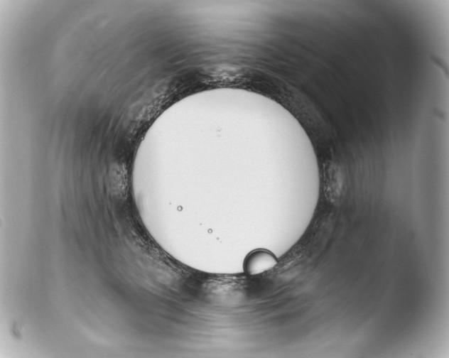 X0000103910563200810031215