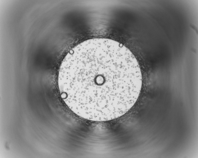 X0000103910564200810031215