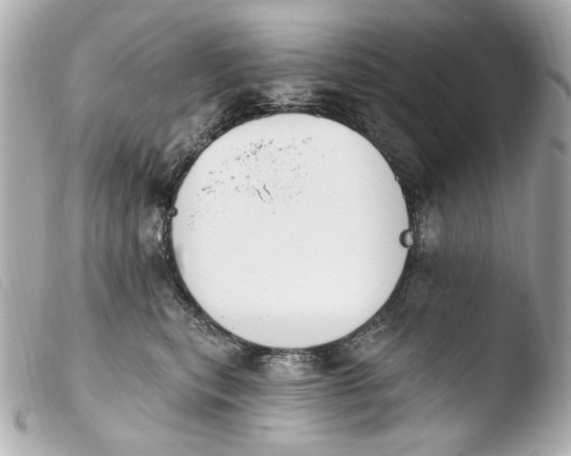 X0000103910567200810031215