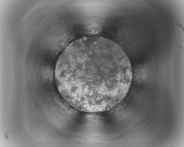 X0000103910568200810031215