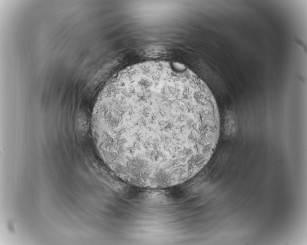X0000103910569200810031215