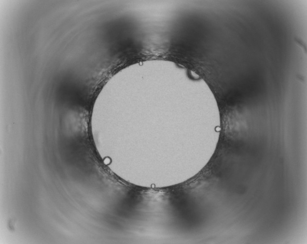 X0000103910570200810031215