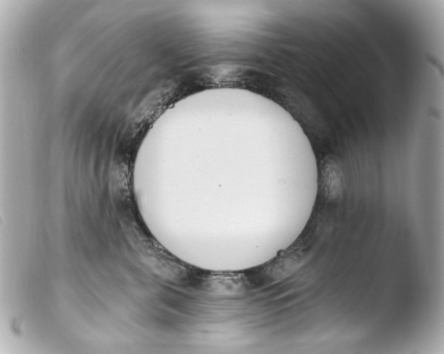 X0000103910571200810031215