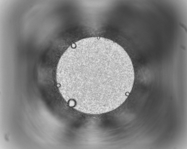 X0000103910572200810031215