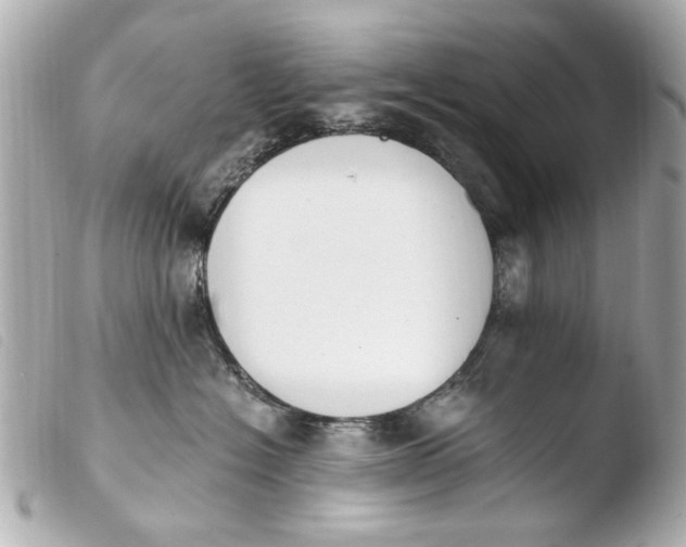 X0000103910574200810031215