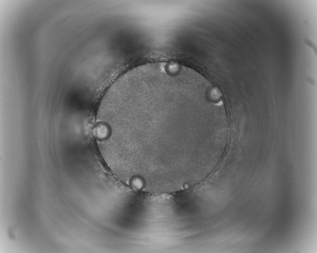 X0000103910576200810031216