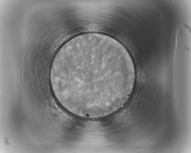 X0000103910577200810031215