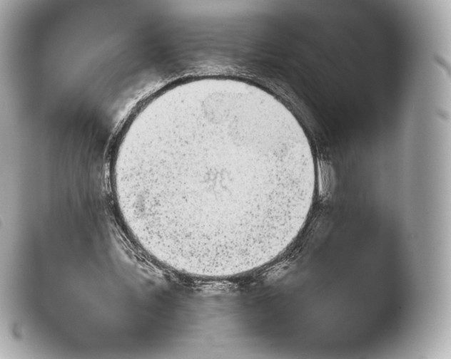 X0000103910579200810031215