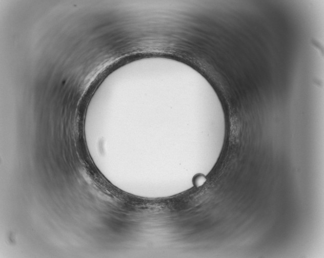 X0000103910580200810031215