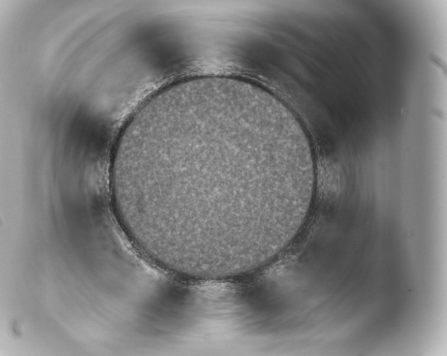 X0000103910581200810031215