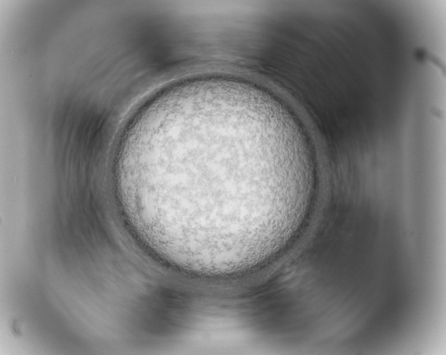 X0000103910583200810031215