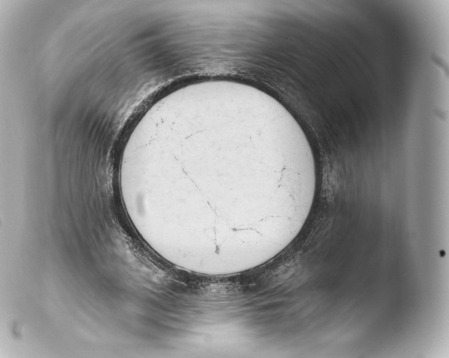X0000103910584200810031215