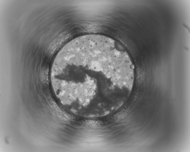 X0000103910585200810031215