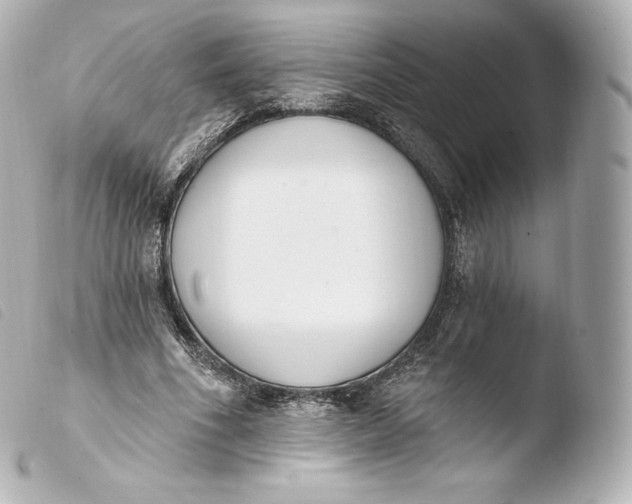 X0000103910586200810031215