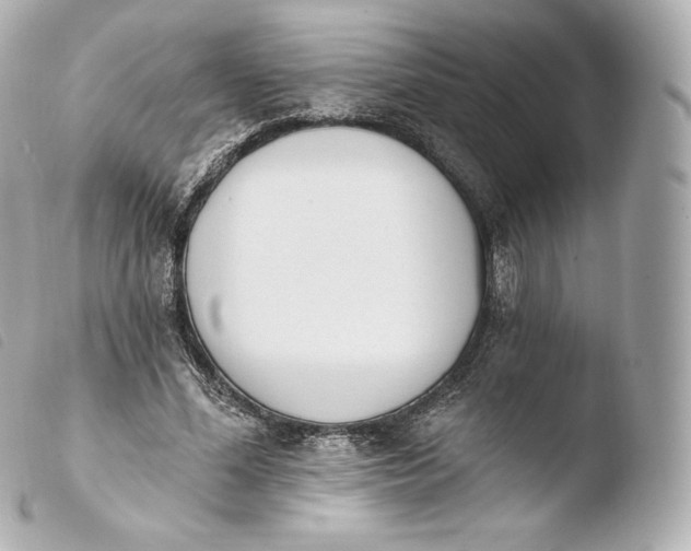 X0000103910588200810031215