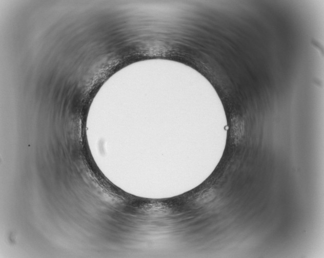 X0000103910589200810031215