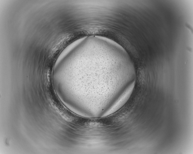 X0000103910590200810031215