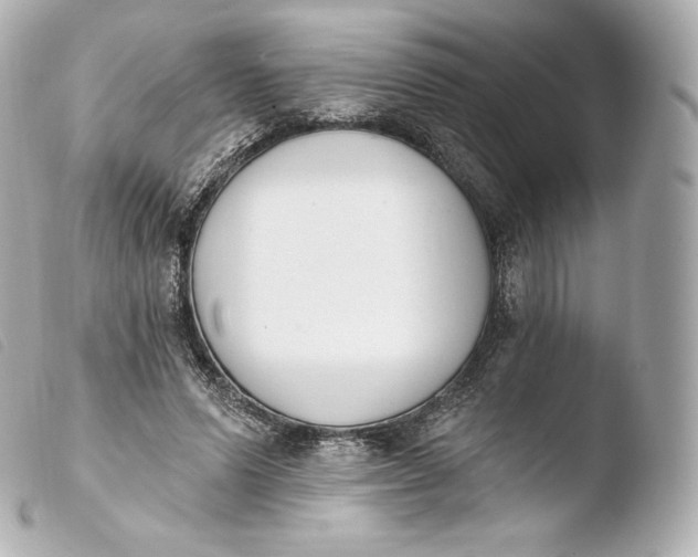 X0000103910591200810031215