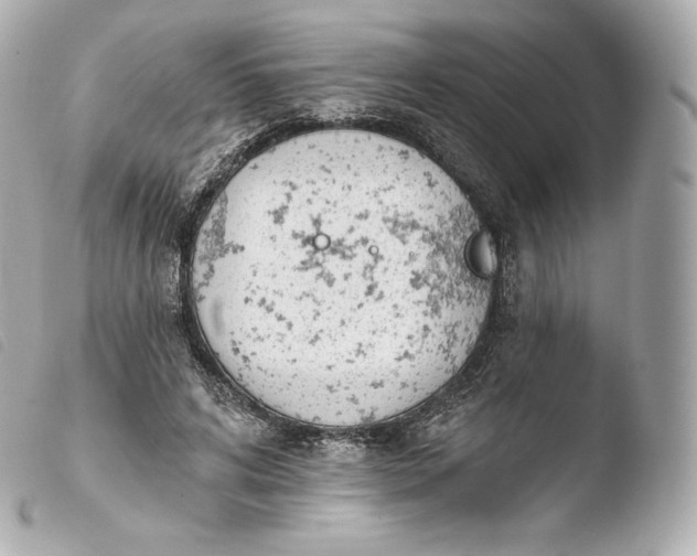 X0000103910592200810031214