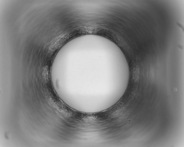 X0000103910594200810031214