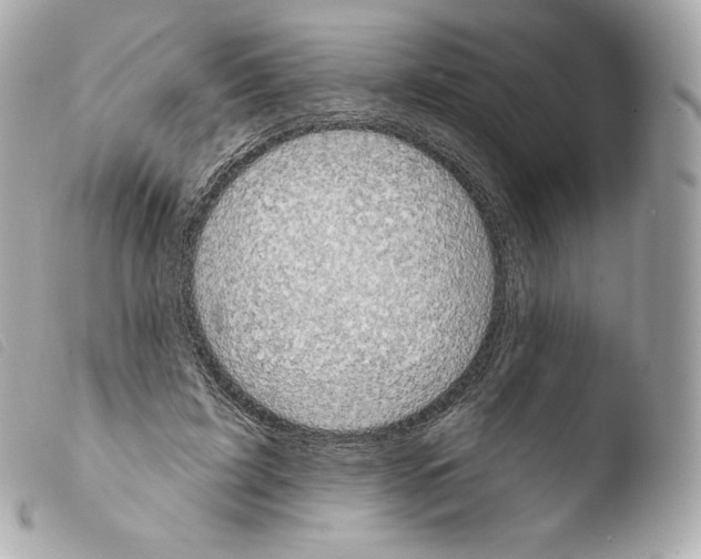 X0000103910595200810031214