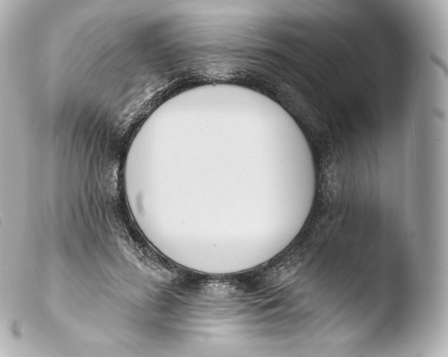 X0000103910596200810031214