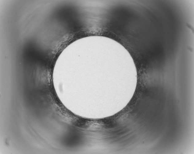 X0000103910597200810031214